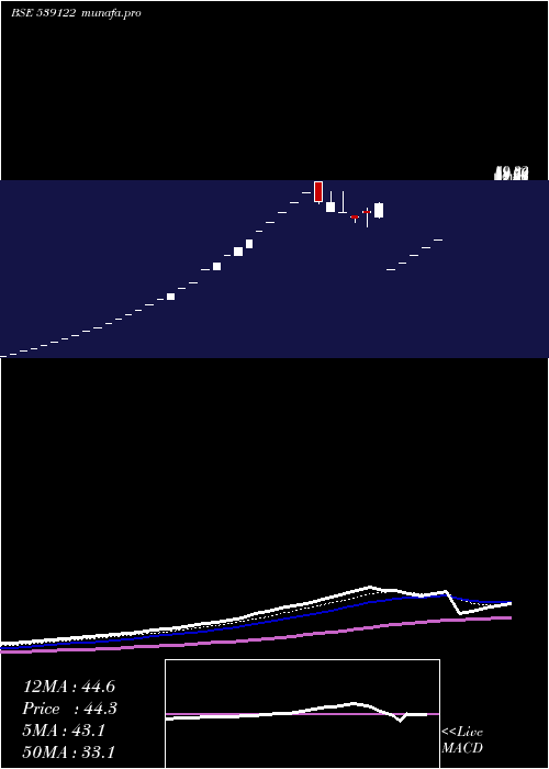 Daily chart Bodhtree