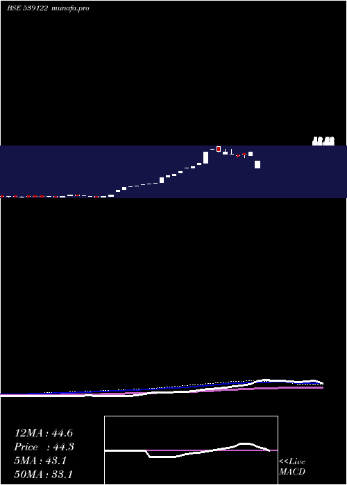 weekly chart Bodhtree