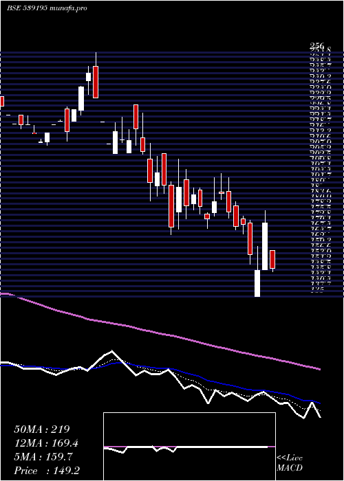  Daily chart Poel