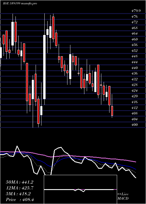  Daily chart Moongipasec