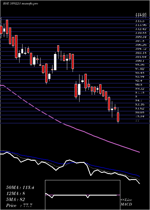  Daily chart Sportking