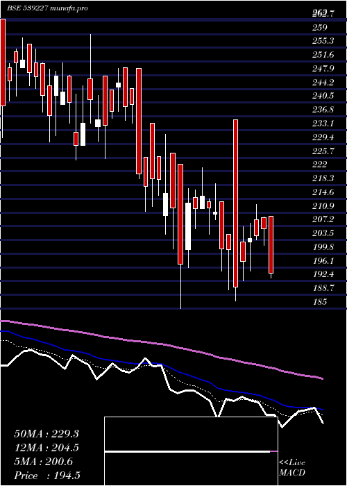  Daily chart Loyal