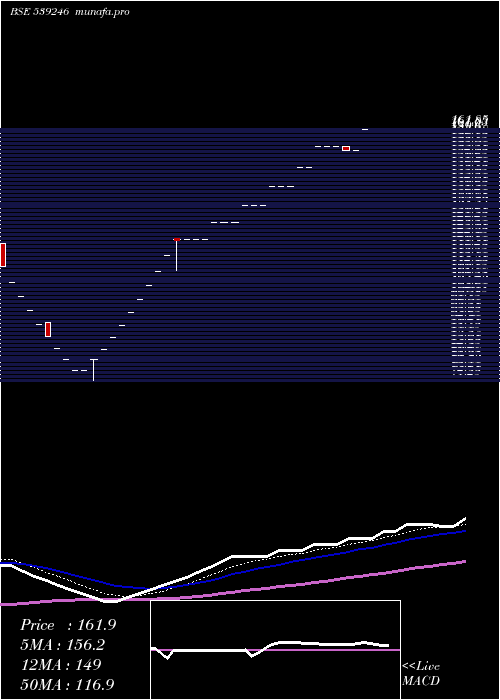  Daily chart Jel