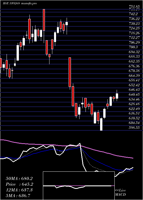 Daily chart Syngene