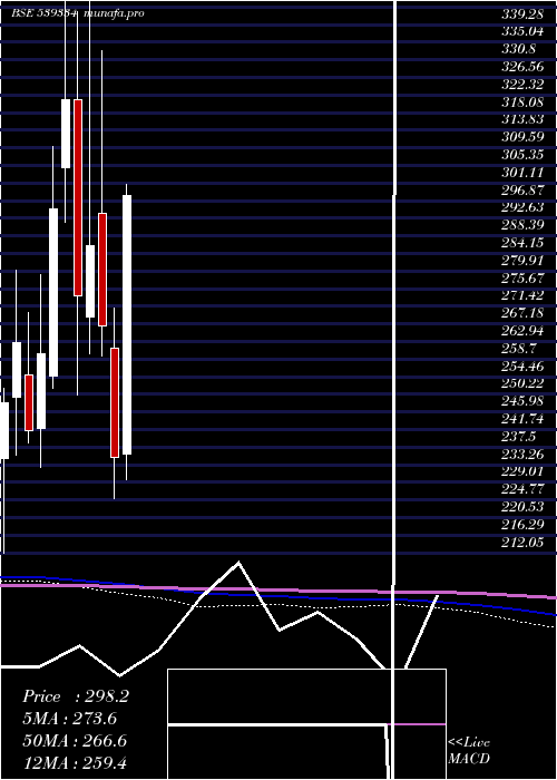 monthly chart Shreepushk