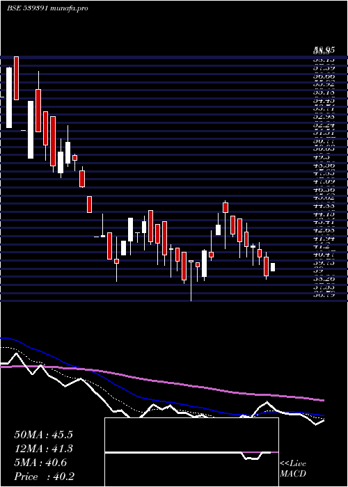  Daily chart Acme