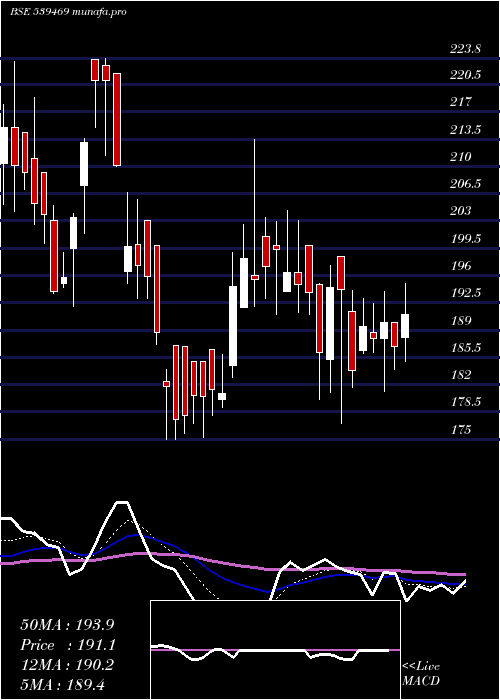 Daily chart Panorama