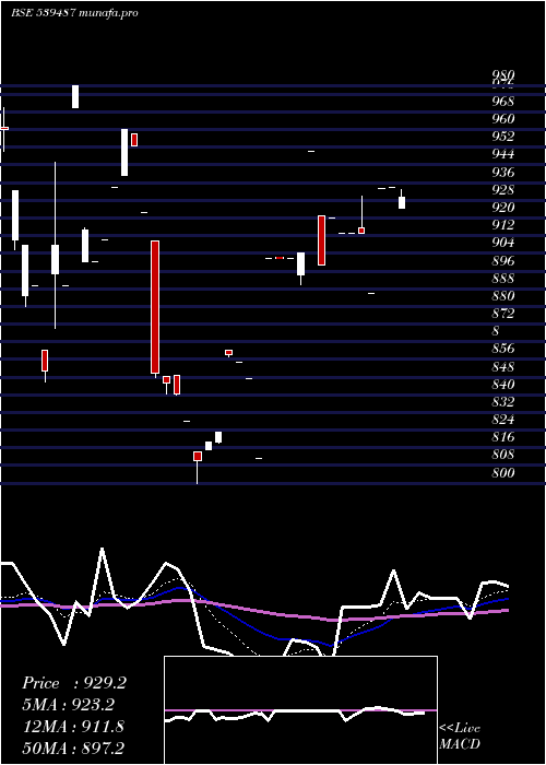 Daily chart Licnetfsen