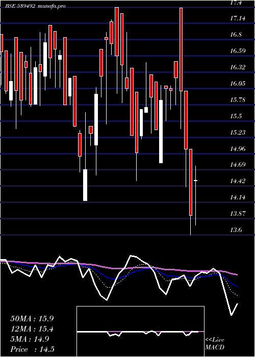  Daily chart Garbifin