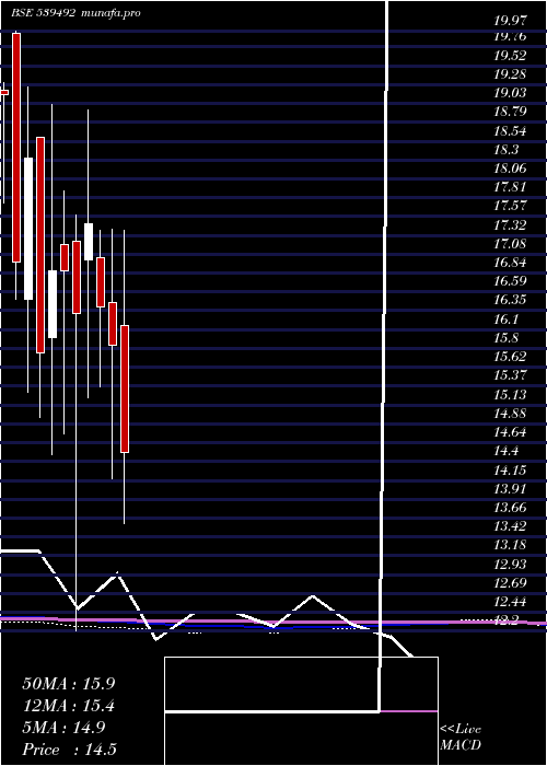  monthly chart Garbifin