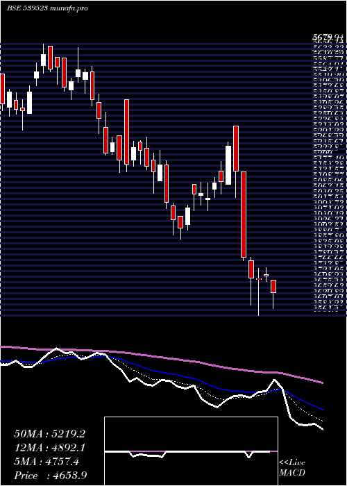  Daily chart Alkem