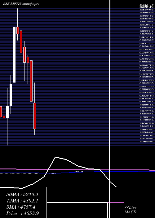  monthly chart Alkem