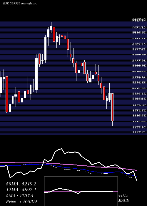  weekly chart Alkem