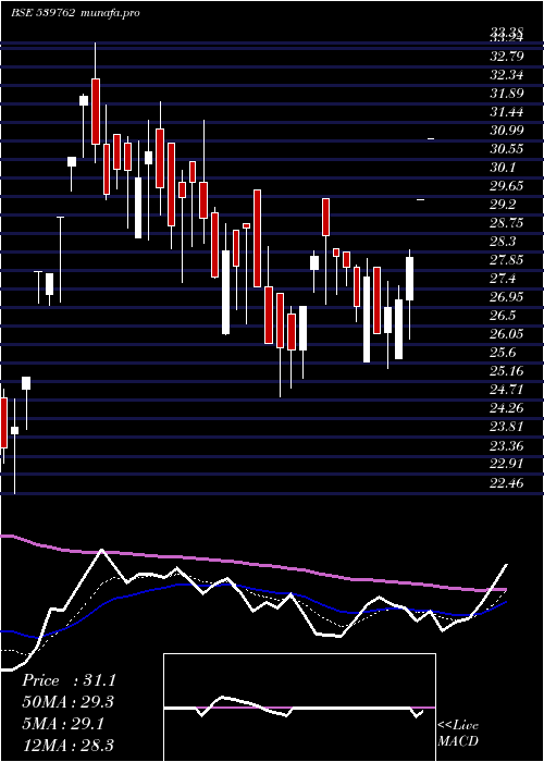 Daily chart Modcl