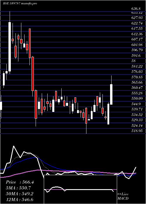 Daily chart Hcg