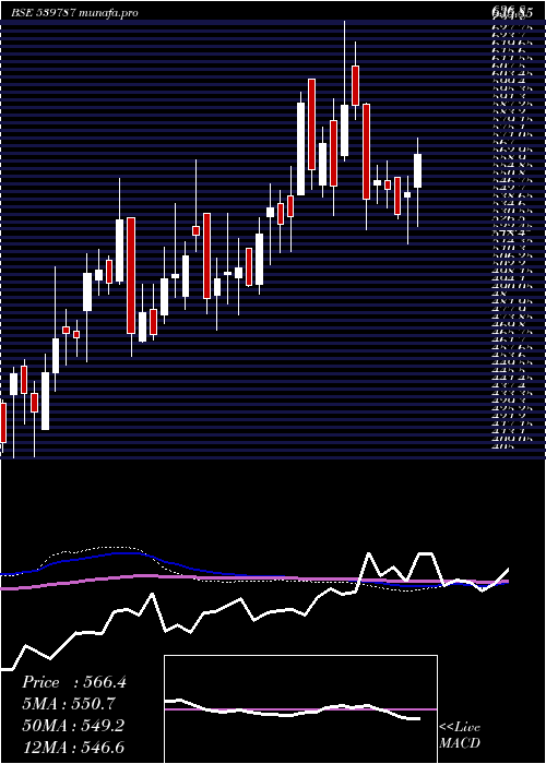 weekly chart Hcg