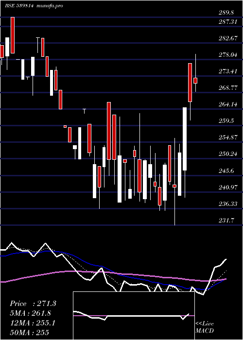  Daily chart Radhey