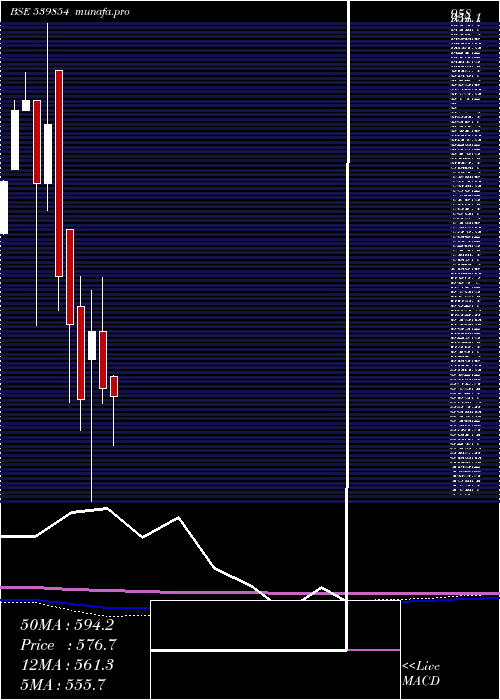 monthly chart Halder