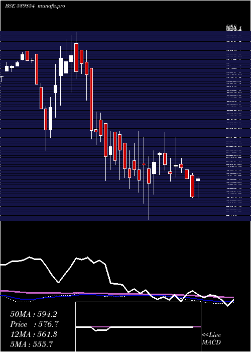 weekly chart Halder