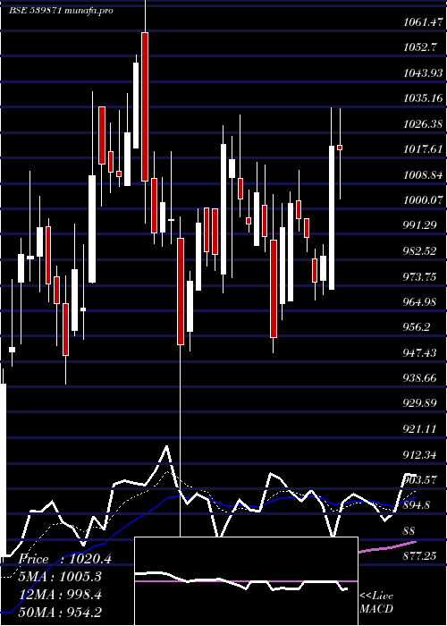 Daily chart Thyrocare