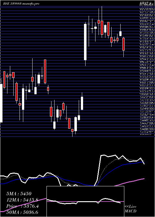 Daily chart Pilaniinvs