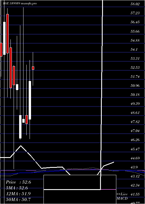 monthly chart Yashchem