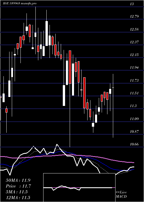  Daily chart Zeal