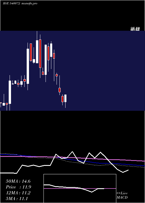 monthly chart Shivaexpo