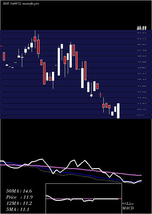 weekly chart Shivaexpo