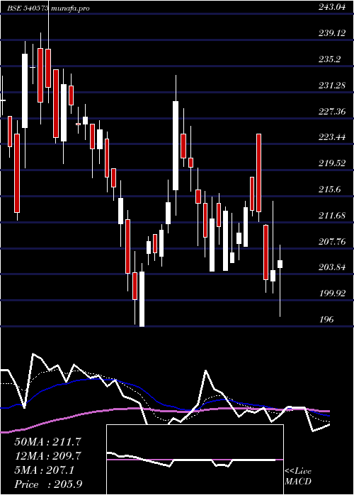  Daily chart Starcement