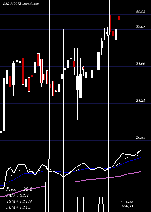  Daily chart Icicilovol