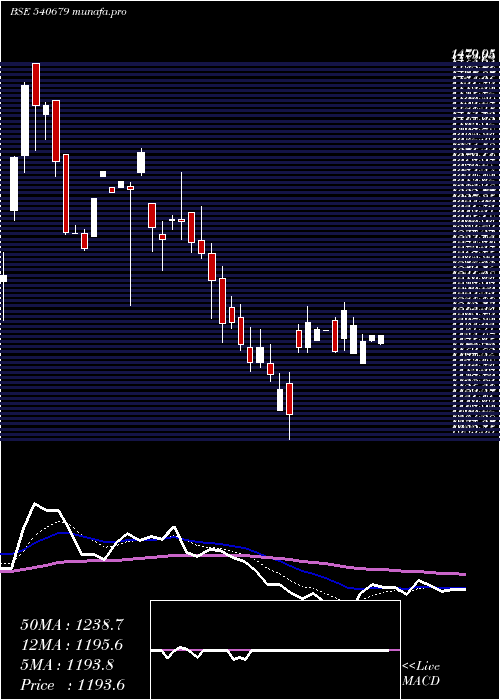 Daily chart Smslife