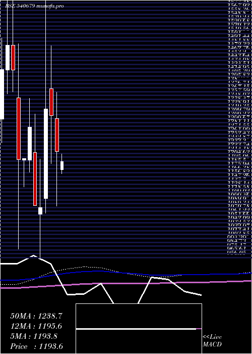 monthly chart Smslife