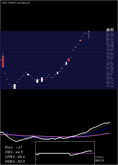  Daily chart Chothani