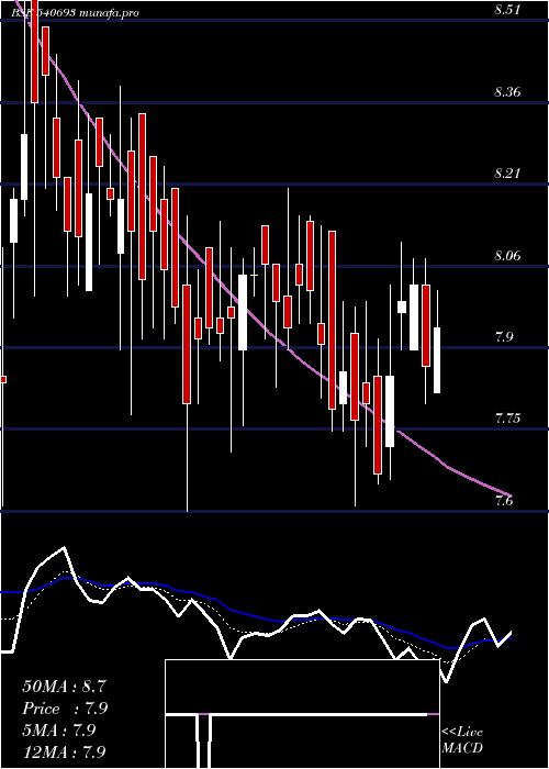  Daily chart Shishind