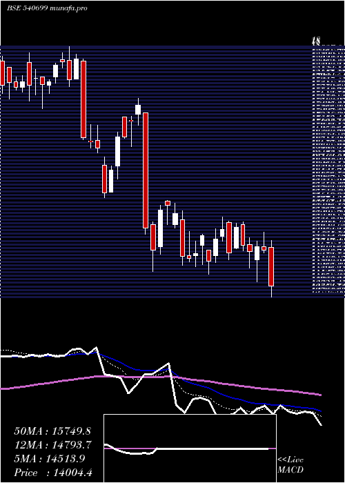  Daily chart Dixon