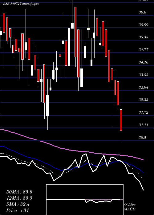  Daily chart Pooja