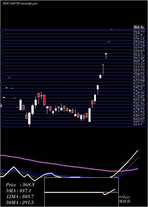 Daily chart Iris
