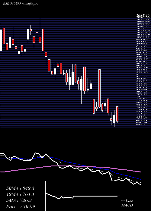  Daily chart Dynamic