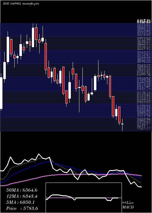  Daily chart Amber