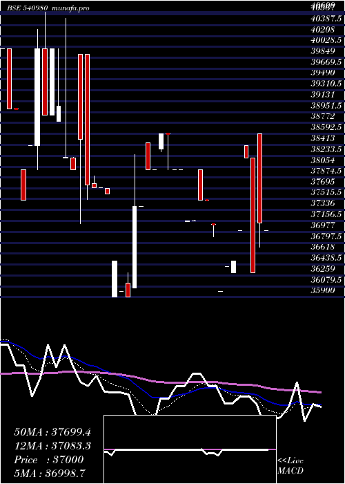  Daily chart Ysl