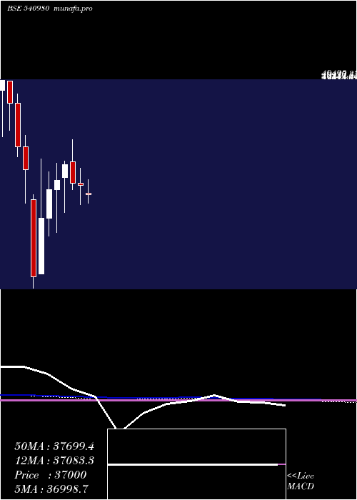  monthly chart Ysl