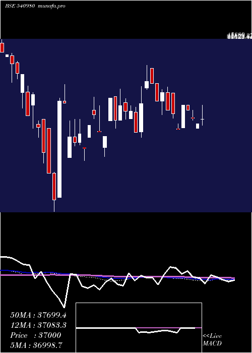  weekly chart Ysl