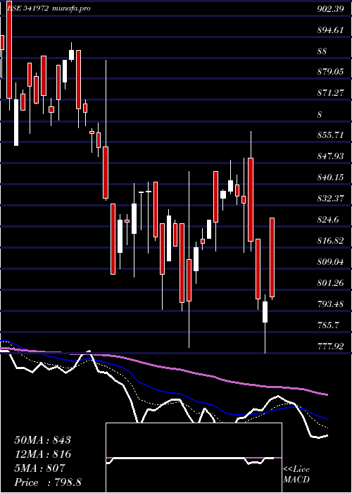  Daily chart Setfsn50