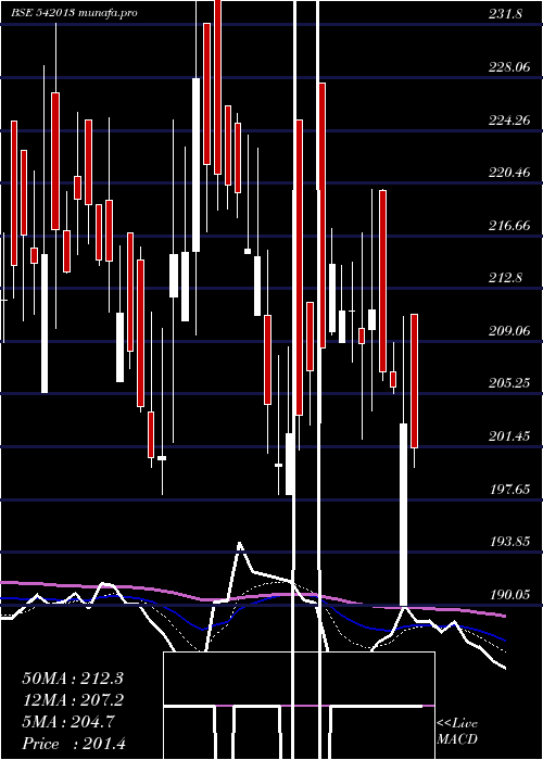  Daily chart Dolfin