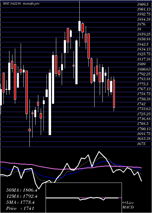  Daily chart Dalbharat