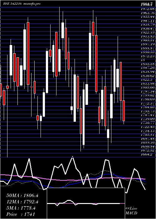  weekly chart Dalbharat