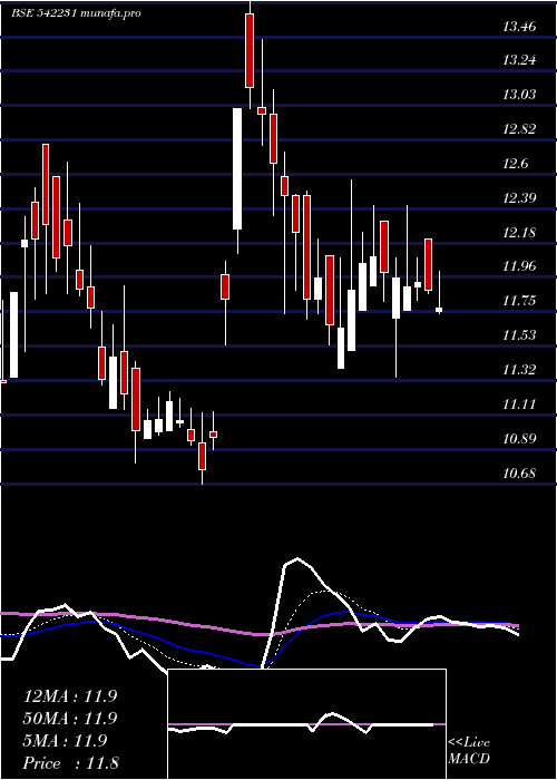 Daily chart Nilaspaces