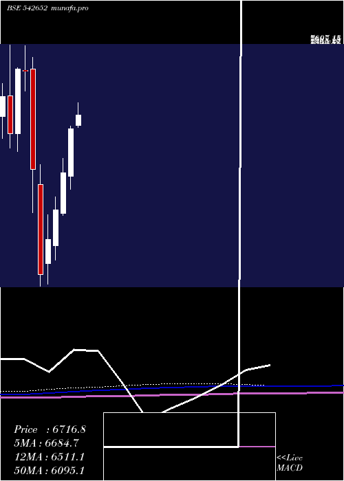 monthly chart Polycab
