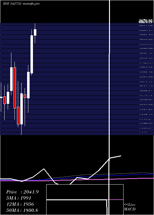  monthly chart Affle